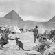 Illustration for article titled Australia took kangaroos as mascots to World War I